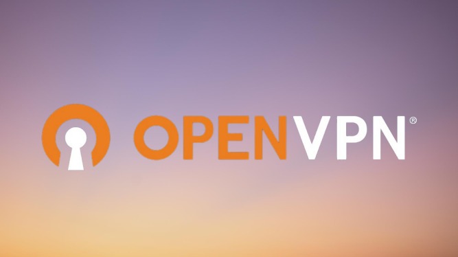 OpenVPN